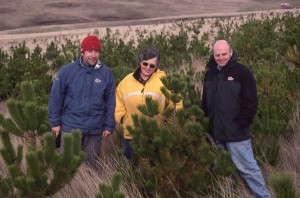 Trustee Marlane Marsh with research forester Dr Rodrigo Olave (left) and Consultant Dr Jim McAdam (right) assess tree trials at Shallow Harbour, West Falkland.